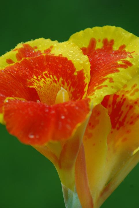 298639_2438153513150_661783650_n